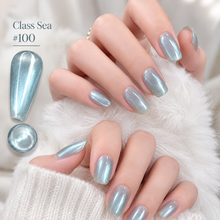 CR Cat Eye Gel Polish – 5 Jelly Magnetic Shades