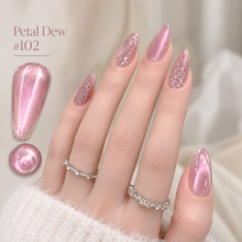 CR Cat Eye Gel Polish – 5 Jelly Magnetic Shades
