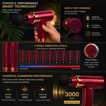 9-Speed Deep Tissue Massage Gun with 4 Massage Heads USB-C Rechargeable Muscle Massager |She Cosmetics®