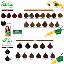 Garnier Color Naturals Crème Permanent Hair Color  | She Cosmetics®