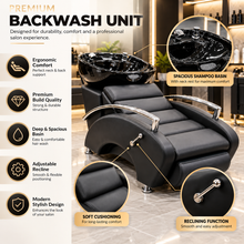 Professional Salon Backwash Unit with Black Basin